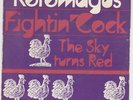 ROTOMAGUS Fightin' Cock 1971 KILLER PUNK PSYCH 45 HEAR