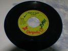 45 rpm single debbie harry Blondie 
