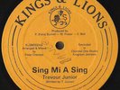 TREVOR JUNIOR “SING MI A SING” DIGI REGGAE DUB 12” ??