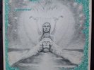 LP DUTCH PSYCH FOLK ROCK SYCAMORE STOOF LABEL MINT COPY