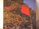 CAPTAIN COCOA - KITE LP C86 TWEE INDIEPOP