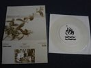 HOT WATER MUSIC / RYDELL SPLIT 7