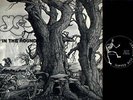 YES In The Round LIVE 78 Slipped Disc 2LP no TAKRL TMOQ