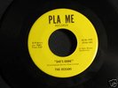 45 Rare Record – THE OCEANS - SHE’S GONE- Funk Rock M++