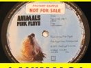 PINK FLOYD LP UK PSYCH PROG Animals HARVEST Promo 1st P