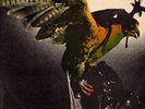 BUDGIE In For The Kill 1974 UK HARD ROCK LP METALLICA