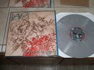 SLaYeR - VOL 2 - angels of death - GRAY Vinyl LP #046