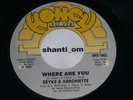Modern SOUL/BOOGIE Funk 45 ERYKE & ARRONETTE Honey HEAR