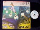 OZRIC TENTACLES-