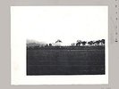Tolerance  - Divin    Vanity Records 0012 LP