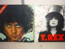 2 LP : T REX  / MARC BOLAN