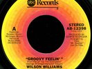 Rare 70s Soul 45 WILSON WILLIAMS on ABC