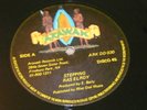 Ras Elroy Stepping Killer  Roots 12