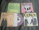 Cows 4 7