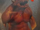 METALLICA Jump in the Fire Shaped Picture Disc Unplayed