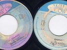 Devon Russell- Chances + Prophecy (Wild Flower) (1974)