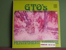 Zappa: GTO's- Permanent Damage PROMO Vinyl LP EX- to NM