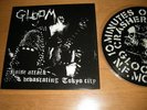 GLOOM Noise Attack LP PICTURE SDS FRAMTID