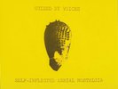 Guided By Voices Self-Inflicted Aerial Nostalgia LP GBV