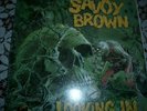 SAVOY BROWN    -    LOOKING IN        FOC