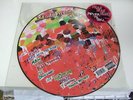 Yeah Yeah Yeahs - Fever To Tell picture  disc LP  oop