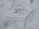 LEMON DIPS WHO'S GONNA BUY? DE WOLFE LIBRARY LP PSYCH