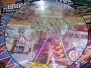 Robert Williams Chrome Smoke & Fire DBL lp picdisc punk