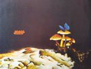 SOM NOSSO DE CADA DIA PSYCH PROG FOLK ROCK BRAZIL OG LP