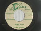 DONNA DAMERON 45 BOPPER 486609   DART 113