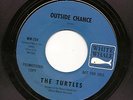 Turtles 