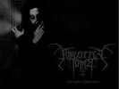 FORGOTTEN TOMB SPRINGTIME LP RARE SHINING BLACK METAL 