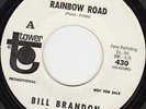 DEEP SOUL 45 RPM- BILL BRANDON on TOWER RECORDS (PROMO)