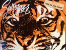 Survivor - Eye Of The Tiger - 12