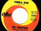 BRIAN WILSON THE SURVIVORS Pamela Jean 45 CAPITOL 5102
