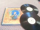 STRAYLIGHT RUN the needles the space 2X LP vinyl