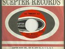 THE BUOYS   TIMOTHY   NM unplayed 45 Rupert Holmes