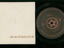 TRAIL OF DEAD: homage [No'd VINYL PRO.. PROMO-5