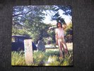 ARIEL PINK'S HAUNTED GRAFFITI - The Doldrums LP OOP