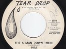 HIM / DOUG SAHM It's A Man Down There GARAGE ROCK HEAR