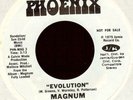 MAGNUM - Evolution/Your Mind - 1975 Funk WL Promo 45