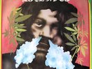 ROCK A DUB--REGGAE--DUB ALBUM--ROOTS