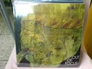 LP OUT OF FOCUS-SAME,THEIR SECOND AND BEST, RE