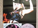 MADONNA 12