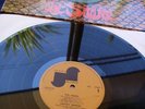 HARVEY MANDEL THE SNAKE RARE 1972 UK 1st PRESSING MINT