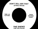 THE SHEIKS 45 VERY RARE CALI STYLE BOOGIE FUNK MP3?????