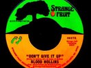 BLOOD HOLLINS 