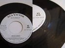 SUPER RARE PROMO ONLY  ELVIS PRESLEY  ROUSTABOUT  MINT-