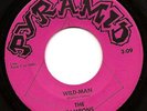 Monster 1967 Garage Punk 45 - TAMRONS Wild Man  PYRAMID