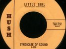 SYNDICATE OF SOUND Little Girl Garage 45 NM Hush 228