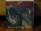 LP vinyl record The Cult - Wild Hearted Son 12